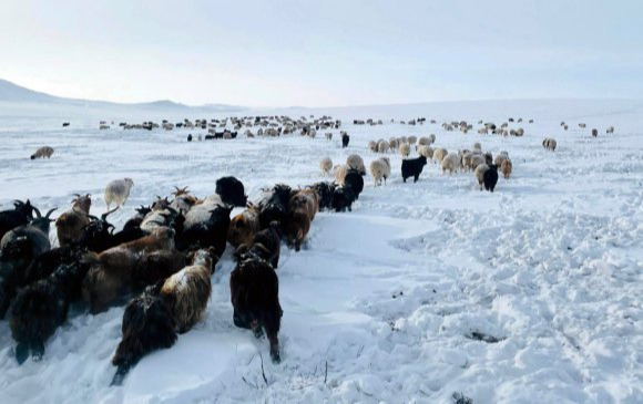 ӨВЛИЙН САРУУДАД НУТГИЙН ХОЙД ХЭСГЭЭР ОЛОН ЖИЛИЙН ДУНДЖААС ХҮЙТЭН БАЙХ ТӨЛӨВТЭЙ БАЙНА